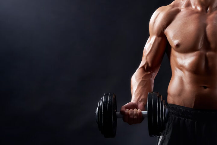 Web sajt za teretanu Šmek fitness Novi Sad 3 Web sajt za teretanu Šmek fitness Novi Sad