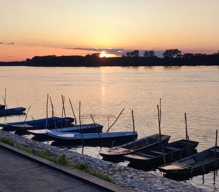 Izrada web sajtova Smederevo