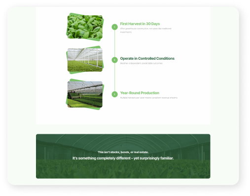 Landing stranica za Salad Fund