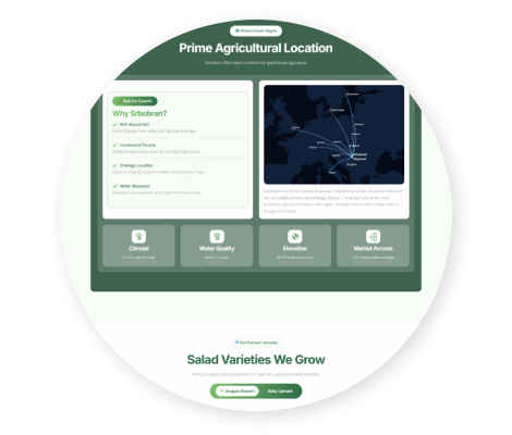 Salad Fund App - Portfolio