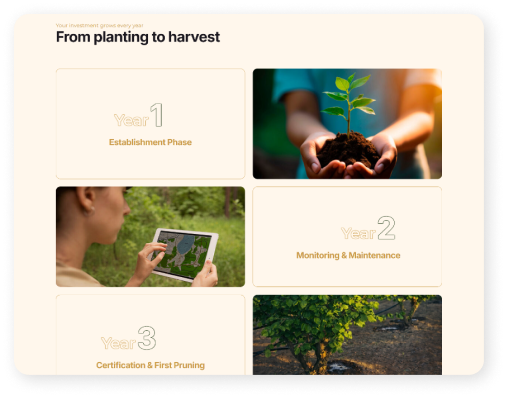 Organic Hazelnut Fund - Platforma za investiranje